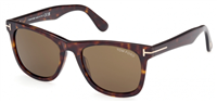 Sunglasses Tom Ford Man FT1099_5252J - FT1099_5252J